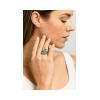 CHOROCHRONOS - 18K GOLD, TITANIUM AND DIAMOND RING _MM3 grey