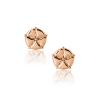 ANTHOS - EARRINGS _ s925 Rose Gold colour