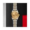 m79643-0005_ TUDOR_ Black Bay 36 S&G _ Chrono Vildiridis