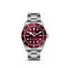 m7939a1a0ru-0002 _ tudor _ Black Bay 58 _ Chrono Vildiridis
