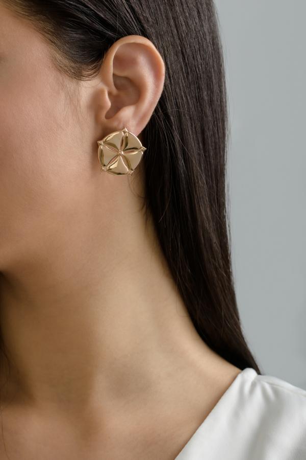 ANTHOS - EARRINGS _ s925 Rose Gold colour