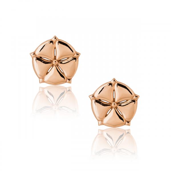 ANTHOS - EARRINGS _ s925 Rose Gold colour