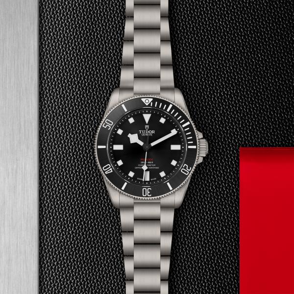 m25407n-0001_ Pelagos 39 _Tudor _ChronoVildiridis