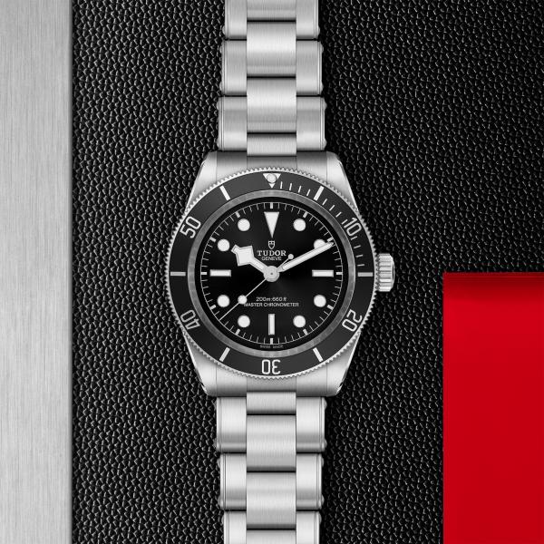 m7941a1a0nu-0001_TUDOR_ChronoVildiridis