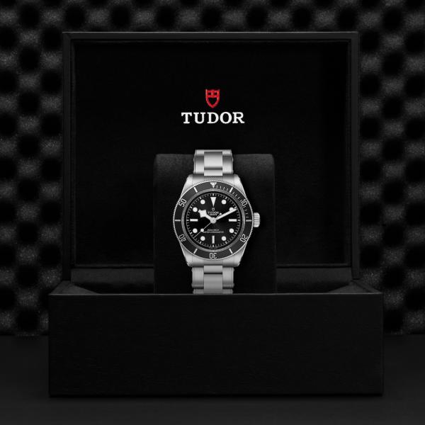 m7941a1a0nu-0001_TUDOR_ChronoVildiridis