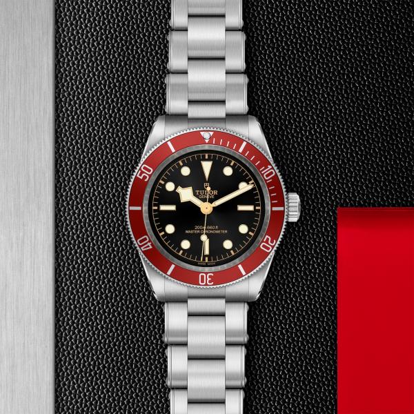 m7941a1a0ru-0001_tudor_chronoVildiridis