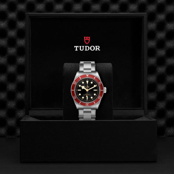 m7941a1a0ru-0001_tudor_chronoVildiridis