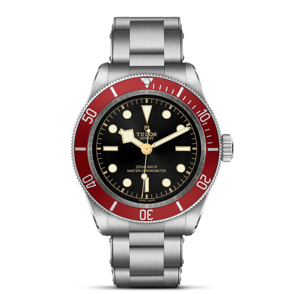 m7941a1a0ru-0001_tudor_chronoVildiridis