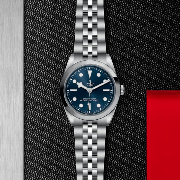 m79640-0002_tudor_chronoVildiridis