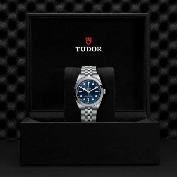 m79640-0002_tudor_chronoVildiridis