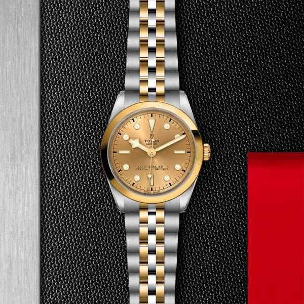 m79643-0005_ TUDOR_ Black Bay 36 S&G _ Chrono Vildiridis
