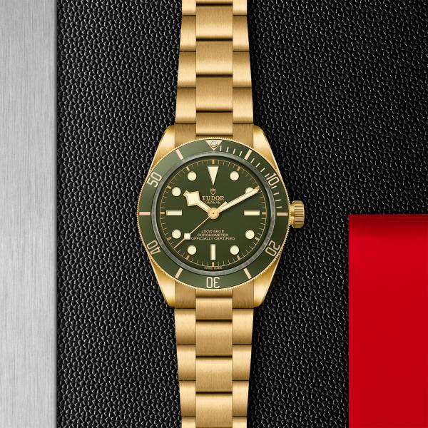 m79018v-0006 _ TUDOR Black Bay 58 18K _ Chrono Vildiridis