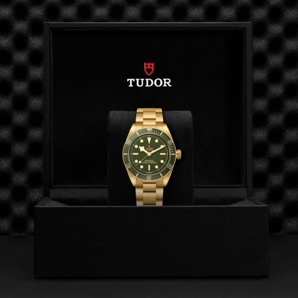 m79018v-0006 _ TUDOR Black Bay 58 18K _ Chrono Vildiridis