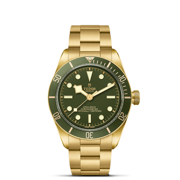 m79018v-0006 _ TUDOR Black Bay 58 18K _ Chrono Vildiridis