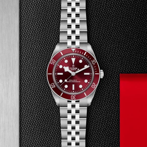 m7939a1a0ru-0001 _ tudor _ Black Bay 58 _ Chrono Vildiridis
