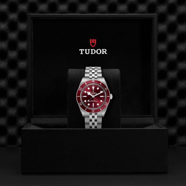 m7939a1a0ru-0001 _ tudor _ Black Bay 58 _ Chrono Vildiridis