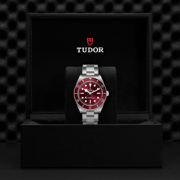 m7939a1a0ru-0002 _ tudor _ Black Bay 58 _ Chrono Vildiridis