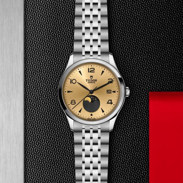 m91560-0001_upright-tr-zoom_zoom_tudor_ChronoVildiridis