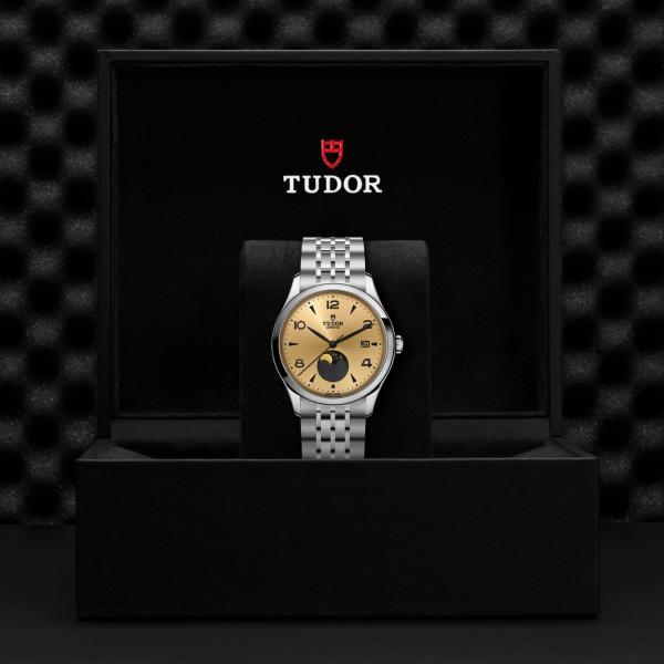 m91560-0001_upright-tr-zoom_zoom_tudor_ChronoVildiridis