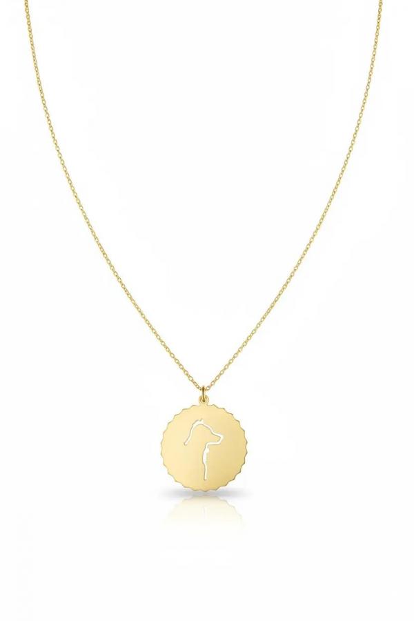 LUCKY COIN D - APPLIED SELFLESSNESS - NECKLACE