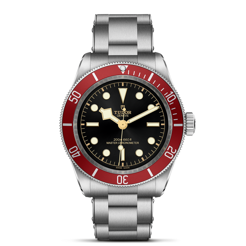 m7941a1a0ru-0001_tudor_chronoVildiridis