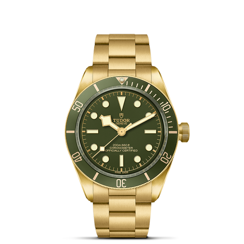 m79018v-0006 _ TUDOR Black Bay 58 18K _ Chrono Vildiridis