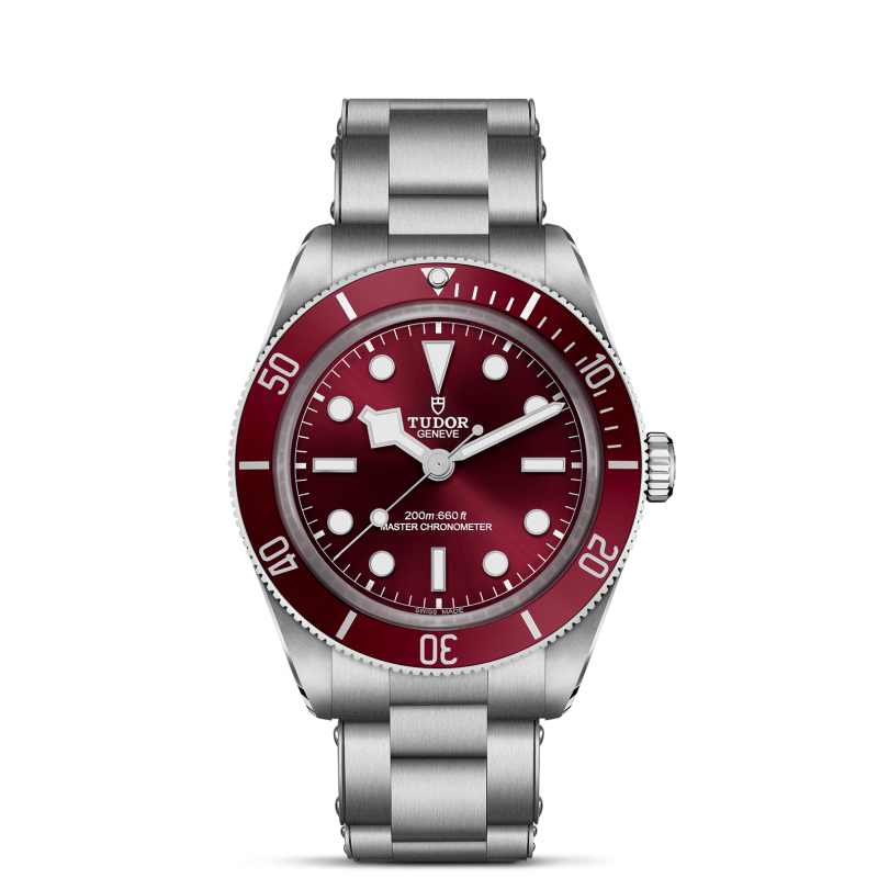 m7939a1a0ru-0002 _ tudor _ Black Bay 58 _ Chrono Vildiridis