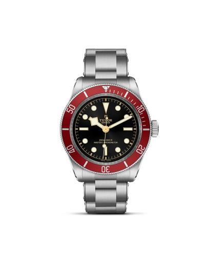 m7941a1a0ru-0001_tudor_chronoVildiridis