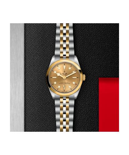 m79643-0005_ TUDOR_ Black Bay 36 S&G _ Chrono Vildiridis