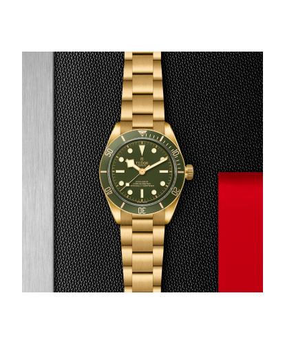 m79018v-0006 _ TUDOR Black Bay 58 18K _ Chrono Vildiridis
