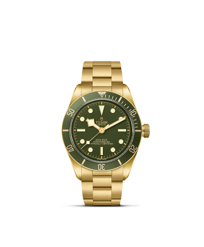 m79018v-0006 _ TUDOR Black Bay 58 18K _ Chrono Vildiridis