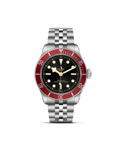m7941a1a0ru-0003 _ TUDOR Black Bay  _ Chrono Vildiridis