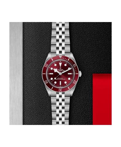 m7939a1a0ru-0001 _ tudor _ Black Bay 58 _ Chrono Vildiridis