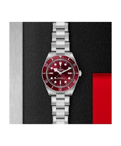 m7939a1a0ru-0002 _ tudor _ Black Bay 58 _ Chrono Vildiridis