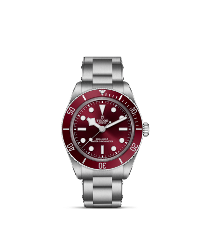 m7939a1a0ru-0002 _ tudor _ Black Bay 58 _ Chrono Vildiridis
