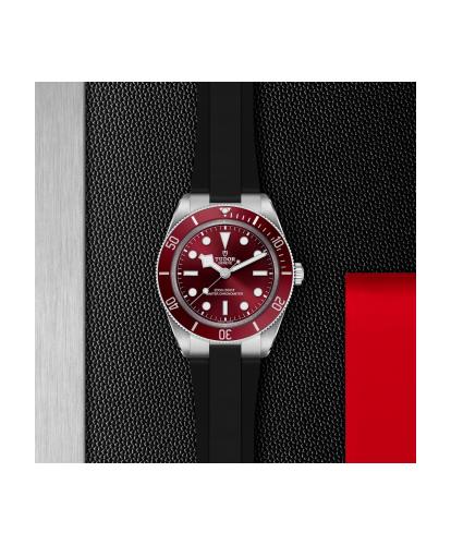 m7939a1a0ru-0003 _ tudor _ Black Bay 58 _ Chrono Vildiridis