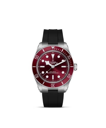 m7939a1a0ru-0003 _ tudor _ Black Bay 58 _ Chrono Vildiridis