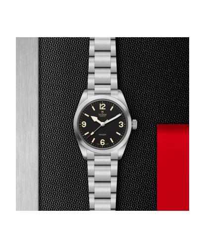 m79930-0001_ranger- tudor-chronoVildiridis